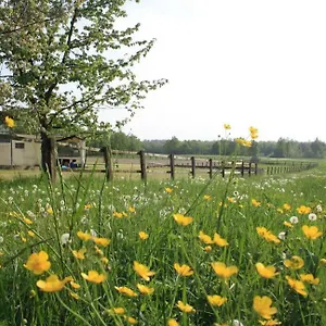  Bauernhof Agriturismo Cargandino